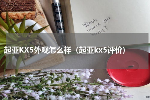 起亚KX5外观怎么样（起亚kx5评价）