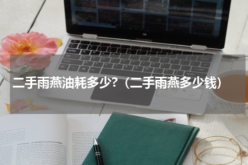 二手雨燕油耗多少?（二手雨燕多少钱）