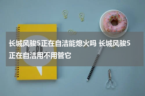 长城风骏5正在自洁能熄火吗 长城风骏5正在自洁用不用管它
