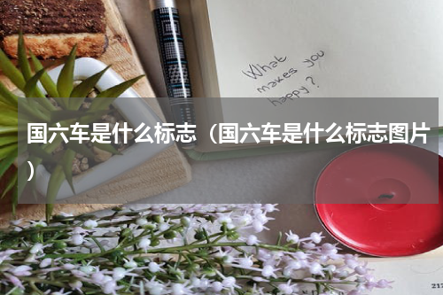国六车是什么标志（国六车是什么标志图片）