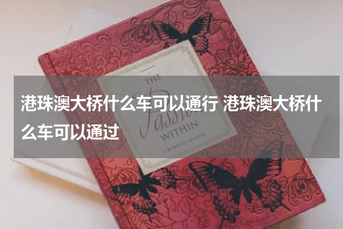 港珠澳大桥什么车可以通行 港珠澳大桥什么车可以通过