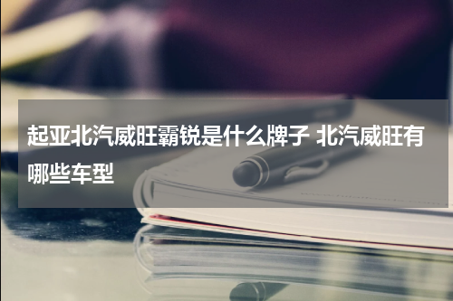 起亚北汽威旺霸锐是什么牌子 北汽威旺有哪些车型