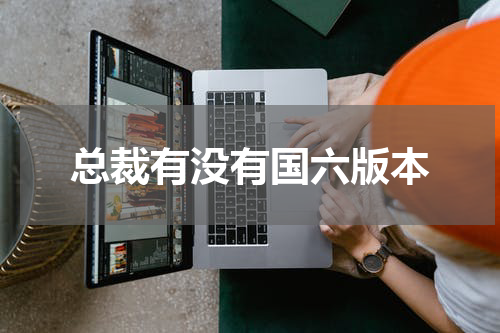 总裁有没有国六版本