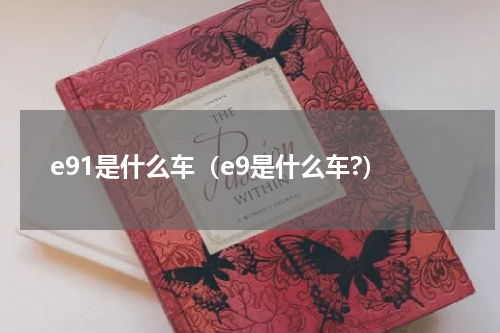 e91是什么车（e9是什么车?）